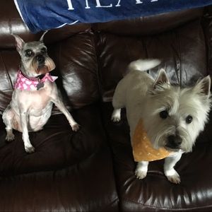 Meet your Posher, Heather